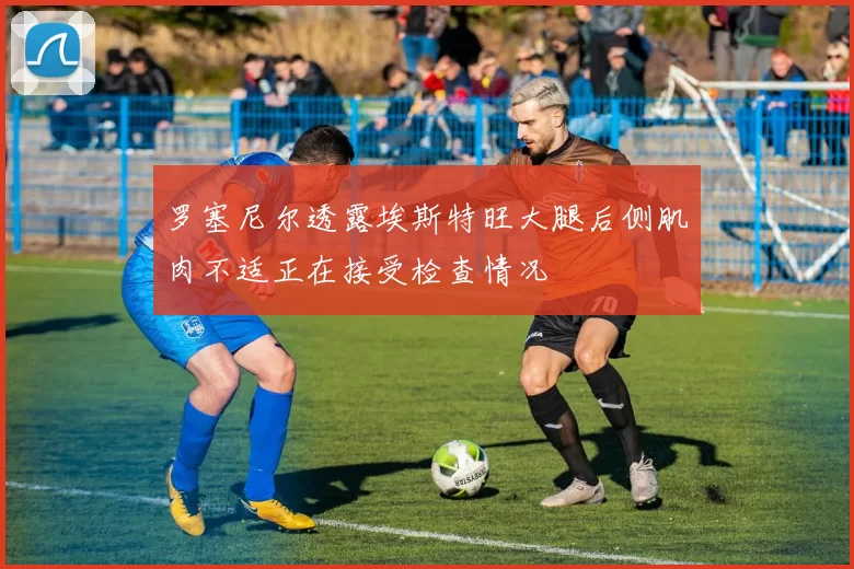罗塞尼尔透露埃斯特旺大腿后侧肌肉不适正在接受检查情况
