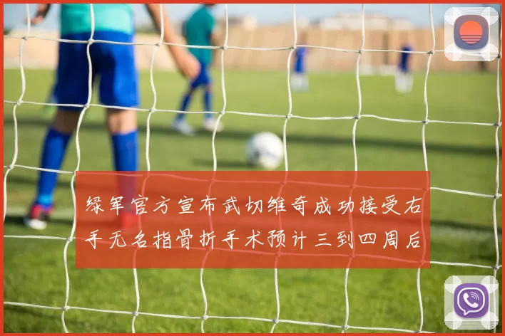 绿军官方宣布武切维奇成功接受右手无名指骨折手术预计三到四周后复查