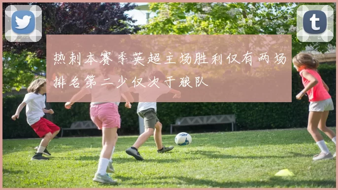 热刺本赛季英超主场胜利仅有两场排名第二少仅次于狼队